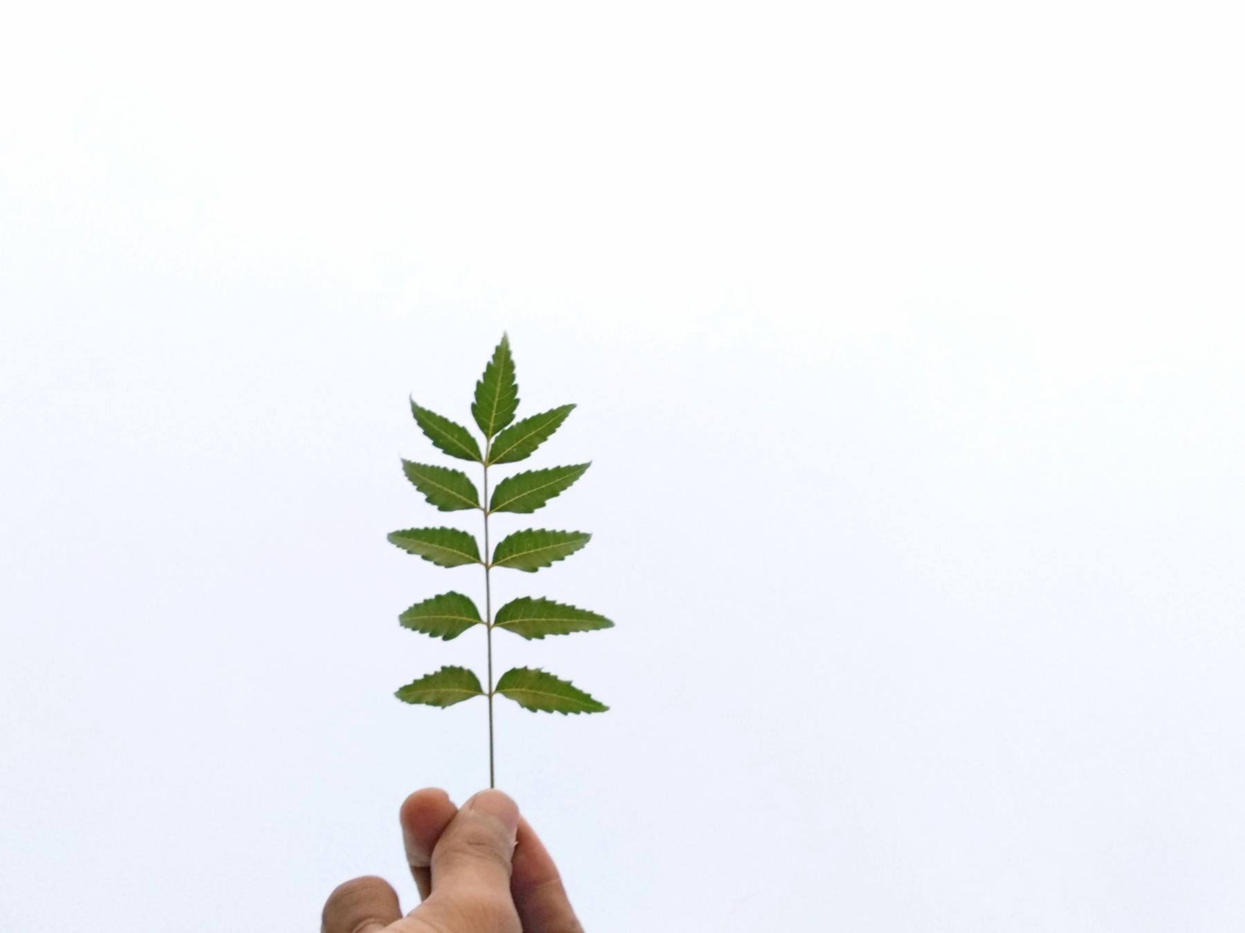 energy waste analysis, utility bill comparison, infrastructure inspection, financial constraint workshop